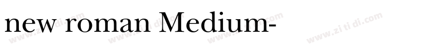 new roman Medium字体转换
